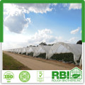 Tunnel Greenhouse film cover low cost agricultural farm Steel Frame comercial green house single span